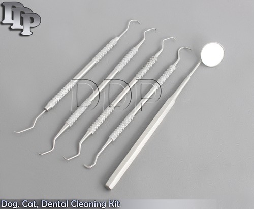 Dog cat dental - dog,cat,dental, cleaning